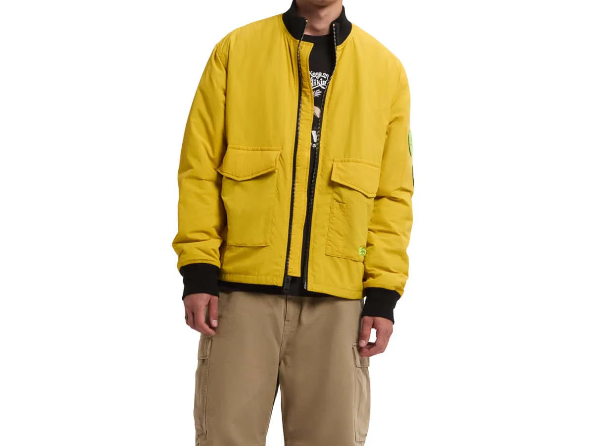 Yellow jacket vector conversion after