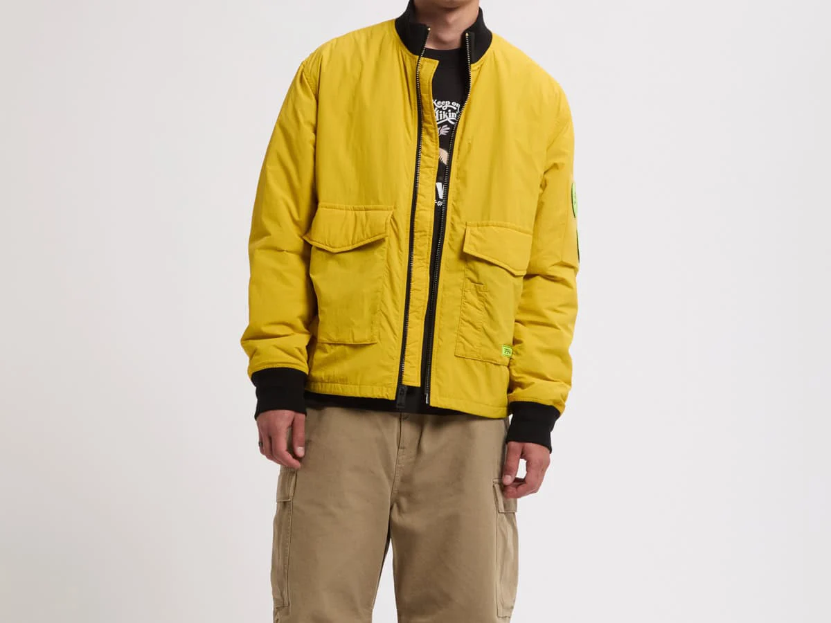 Yellow jacket vector conversion before